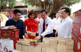 Kết nối giao thương, quảng bá sản phẩm OCOP