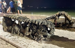 Trục vớt thành công xe tăng thời chiến tại biển Quy Nhơn