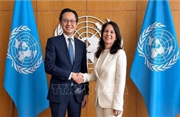 Việt Nam nỗ lực thúc đẩy Hội nghị kiểm điểm NPT đạt kết quả thực chất