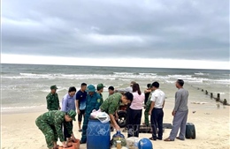 Tàu cá chìm trên biển, hai ngư dân may mắn thoát nạn