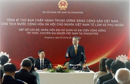 Cộng đồng người Việt Nam tại Singapore tiếp tục là cầu nối thúc đẩy quan hệ hữu nghị giữa hai nước