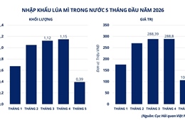 MXV-Index phục hồi, dòng tiền tìm đến lúa mì và bạc