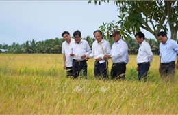 Từ 'lão nông tri điền' đến những nông dân chuyên nghiệp