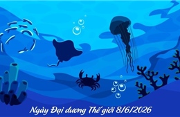 Ngày Đại dương Thế giới 8/6/2026