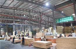 Dữ liệu trở thành 'hộ chiếu' cho nông, lâm sản Việt vào EU