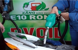 Tây Ninh siết chặt kiểm tra hoạt động kinh doanh xăng sinh học E10