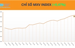 ‘Nóng’ thị trường năng lượng, MXV-Index nối dài chuỗi tăng trên vùng 2.800 điểm