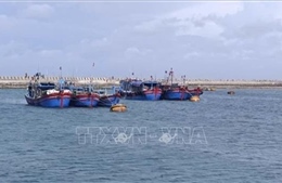 Hải Phòng dùng ra đa hỗ trợ tàu cá về nơi tránh trú bão số 1