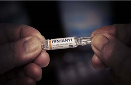 Italy báo động sau vụ mất trộm fentanyl tại bệnh viện