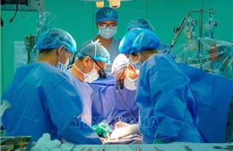 Thêm một ca ghép tim thành công từ người chết não