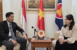 Việt Nam và Indonesia có nhiều dư địa phát triển quan hệ Đối tác Chiến lược Toàn diện