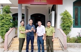 Người dân tự nguyện giao nộp 2 con tê tê Java quý hiếm