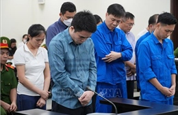 Hai cựu lãnh đạo Cục Hải quan lĩnh 13 năm tù trong vụ sản xuất thực phẩm giả ở MediPhar