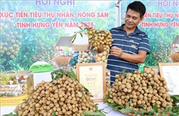 Hưng Yên siết quản lý nguồn thu từ thương mại điện tử và nền tảng số