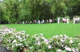 Trung Quốc điều động sinh viên tốt nghiệp cho công cuộc hiện đại hóa nông thôn