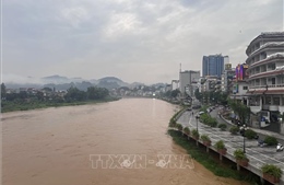 Bốn tỉnh khu vực Bắc Bộ chủ động ứng phó với lũ