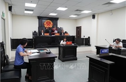 Đoàn Bảo Châu bị phạt 7 năm tù về hành vi tuyên truyền chống Nhà nước