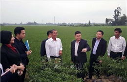 Đồng chí Xaysomphone Phomvihane và những đóng góp to lớn cho quan hệ đặc biệt Việt Nam - Lào