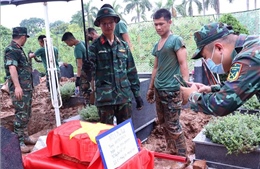 Hành trình nối những cuộc đoàn viên