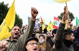 Hezbollah yêu cầu chính phủ Liban dỡ bỏ lệnh cấm đối với máy bay Iran