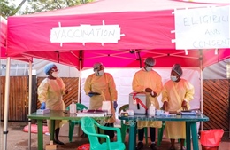 Hy vọng mới trong việc chữa trị cho bệnh nhân nhiễm Ebola