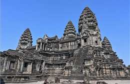 Campuchia cảnh báo du khách về khỉ khi tới thăm Angkor Wat