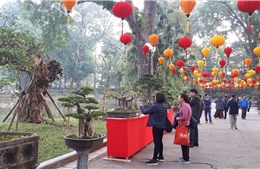 Hơn 1.000 tác phẩm cây cảnh nghệ thuật góp mặt tại Công viên Bách Thảo