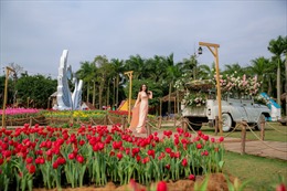 Lễ hội hoa xuân thu hút du khách