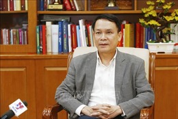 Phát triển Thông tấn xã Việt Nam thành cơ quan thông tấn đa phương tiện chủ lực quốc gia