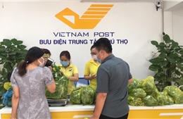 Hàng chục tấn rau củ tiếp tục đến với người dân TP Hồ Chí Minh qua Bưu điện