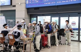 Hàn Quốc triển khai đợt 3 gia hạn cư trú tự động cho người lao động nước ngoài có visa E9