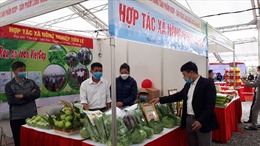 Hà Nội thúc đẩy chuyển đổi số trong sản xuất nông nghiệp