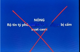 Hà Nội xử phạt một đối tượng 7,5 triệu đồng vì tung tin sai sự thật trên mạng xã hội, bôi nhọ Tập đoàn Vingroup