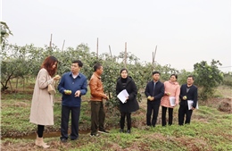 Hà Nội: Phấn đấu thêm 4 huyện đạt chuẩn nông thôn mới nâng cao