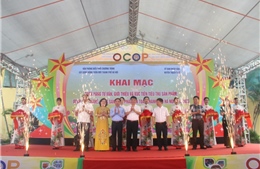 Tuần hàng OCOP và sản phẩm làng nghề, nông sản tại Thạch Thất