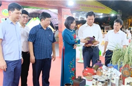 Hơn 2.000 sản phẩm OCOP, đặc sản vùng miền quảng bá tại Hà Nội