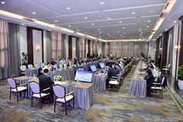 Hội thảo ASEAN: Thúc đẩy phát triển Chính phủ số và hợp tác kỹ thuật số
