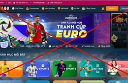 Cảnh báo tội phạm tổ chức đánh bạc dưới hình thức cá độ bóng đá mùa EURO 2024