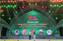 Khai mạc Festival Sinh vật cảnh Hà Nội lần thứ nhất năm 2024