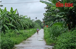 Xã đảo Minh Châu hướng tới xây dựng nông thôn mới gắn với du lịch sinh thái