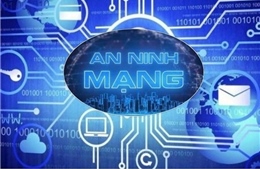 Dùng sản phẩm an ninh mạng Việt Nam: Lợi thế nào đang bị bỏ lỡ?