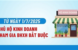 Hơn 12.300 chủ hộ kinh doanh đã đóng bảo hiểm xã hội bắt buộc