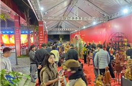 Lễ hội mua sắm năm 2025: Lan tỏa hình ảnh một Hà Nội năng động