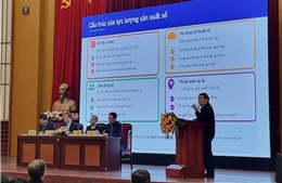 Việt Nam còn thiếu lực lượng sản xuất số chuyên sâu cho chuyển đổi số