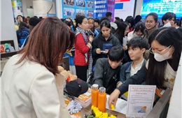 Thị trường lao động ngành công nghệ thông tin bước vào giai đoạn sàng lọc