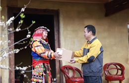 Bưu điện Việt Nam đảm bảo lưu thoát hàng hóa dịp cao điểm Tết Bính Ngọ 2026