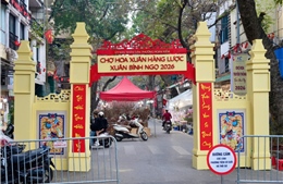 Độc đáo Chợ hoa Xuân phố cổ 2026 đón Tết Bính Ngọ