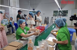 Từ mua sắm xanh đến phát triển bền vững qua nền tảng số