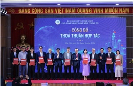 Thành lập Trung tâm quốc gia hỗ trợ sản xuất thử chip bán dẫn
