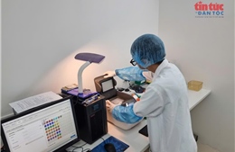 Bước tiến công nghệ ADN trong hành trình xác định danh tính liệt sĩ